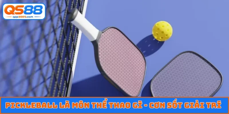 Pickleball là môn thể thao gì